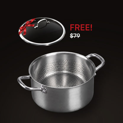 HULCAN® Pure Titanium Liftgrid Casserole Pot, 6-Qt
